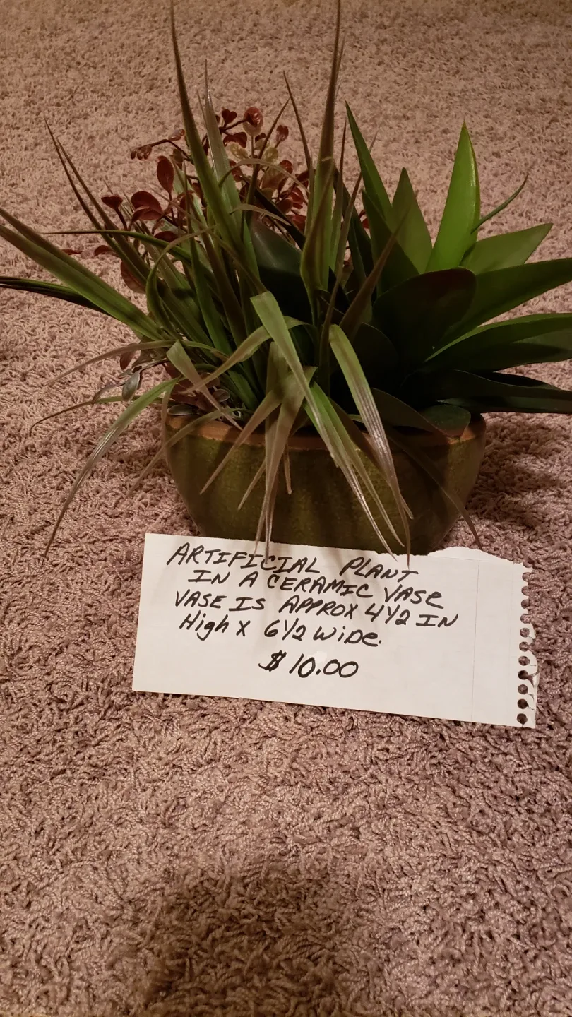 Artificial Plants in Ceramic Vases.$10 each