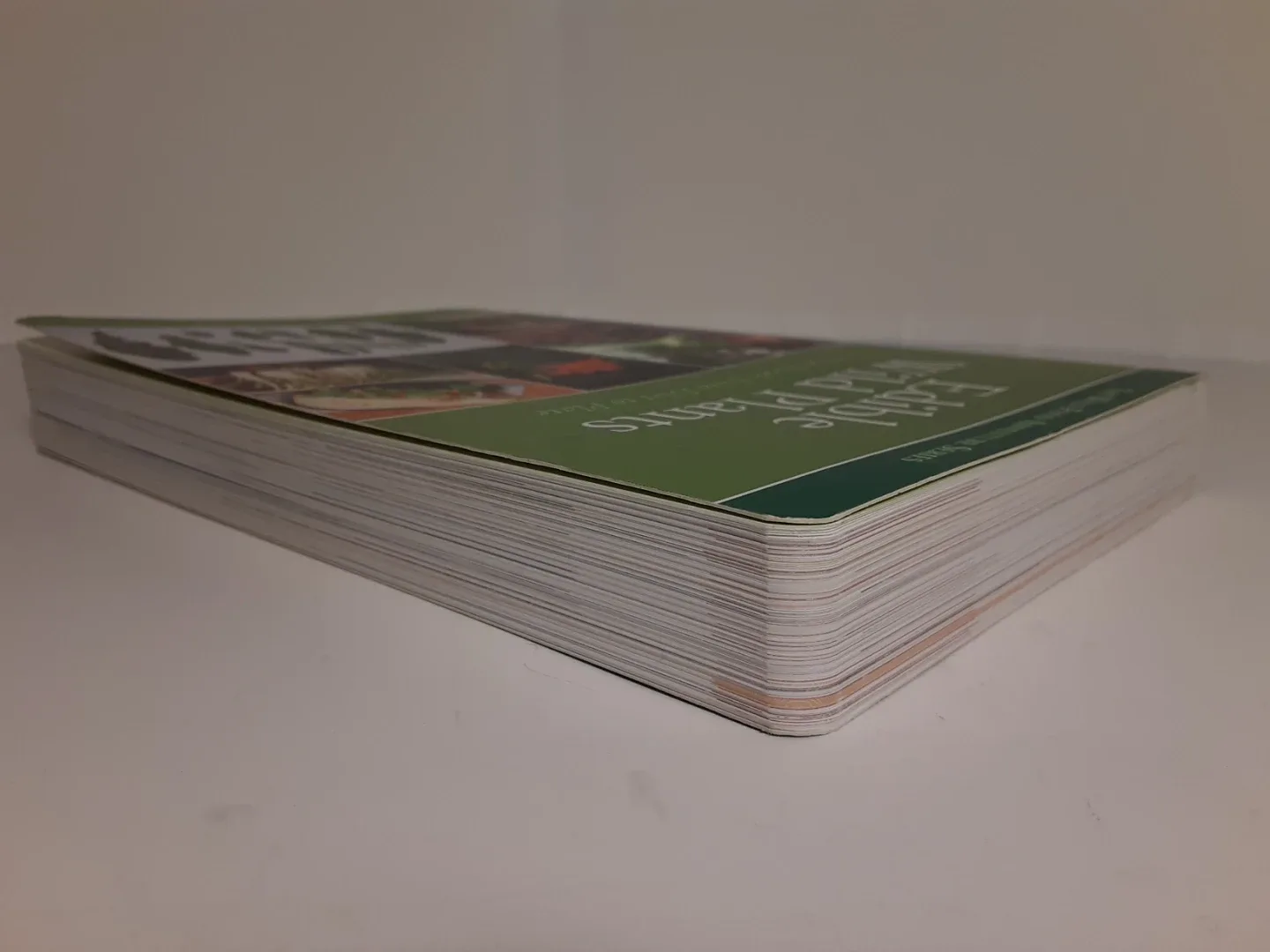 Edible Wild Plants - Wild Food Aventure Series image indicator(3)