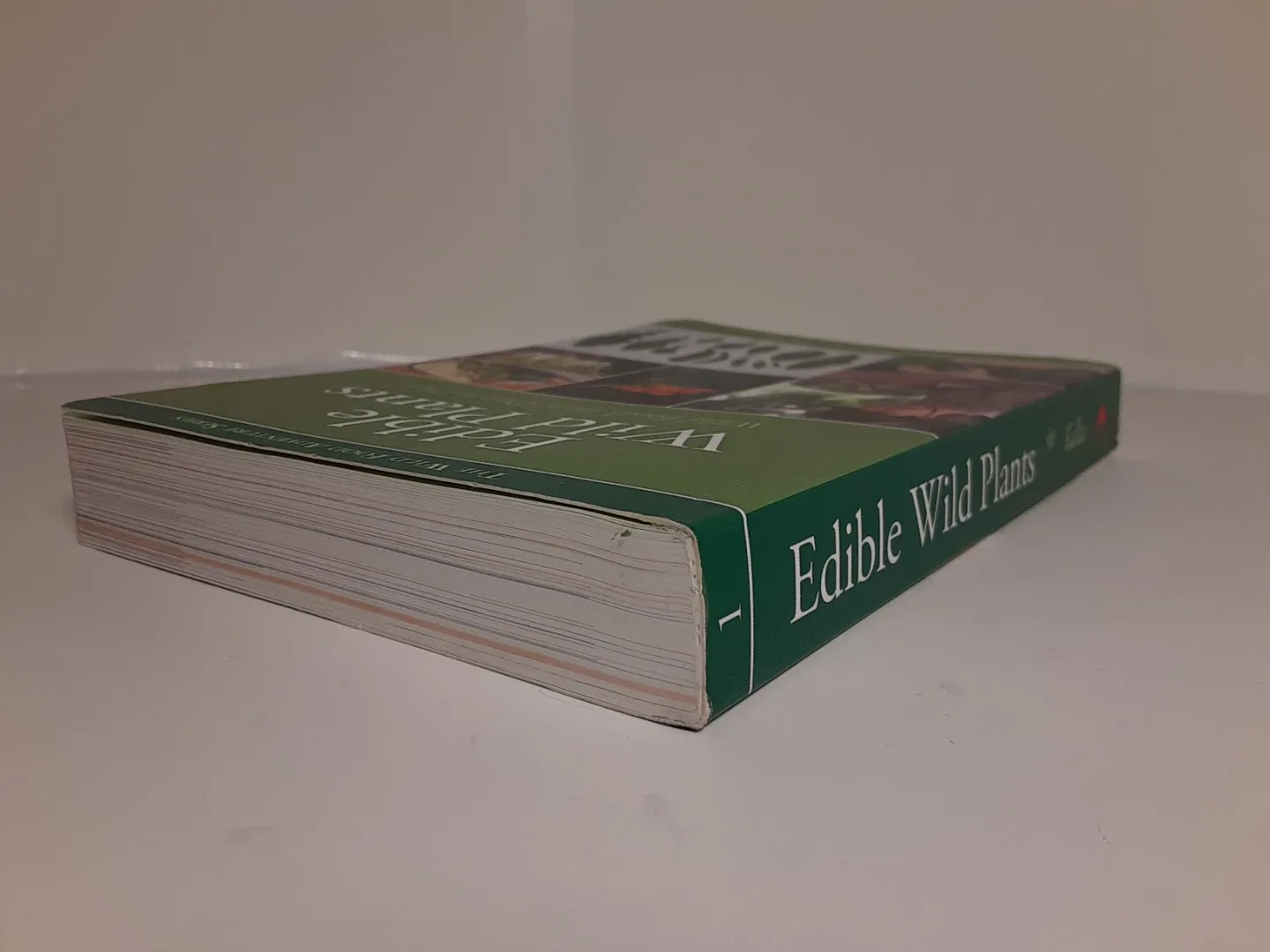 Edible Wild Plants - Wild Food Aventure Series image indicator(4)