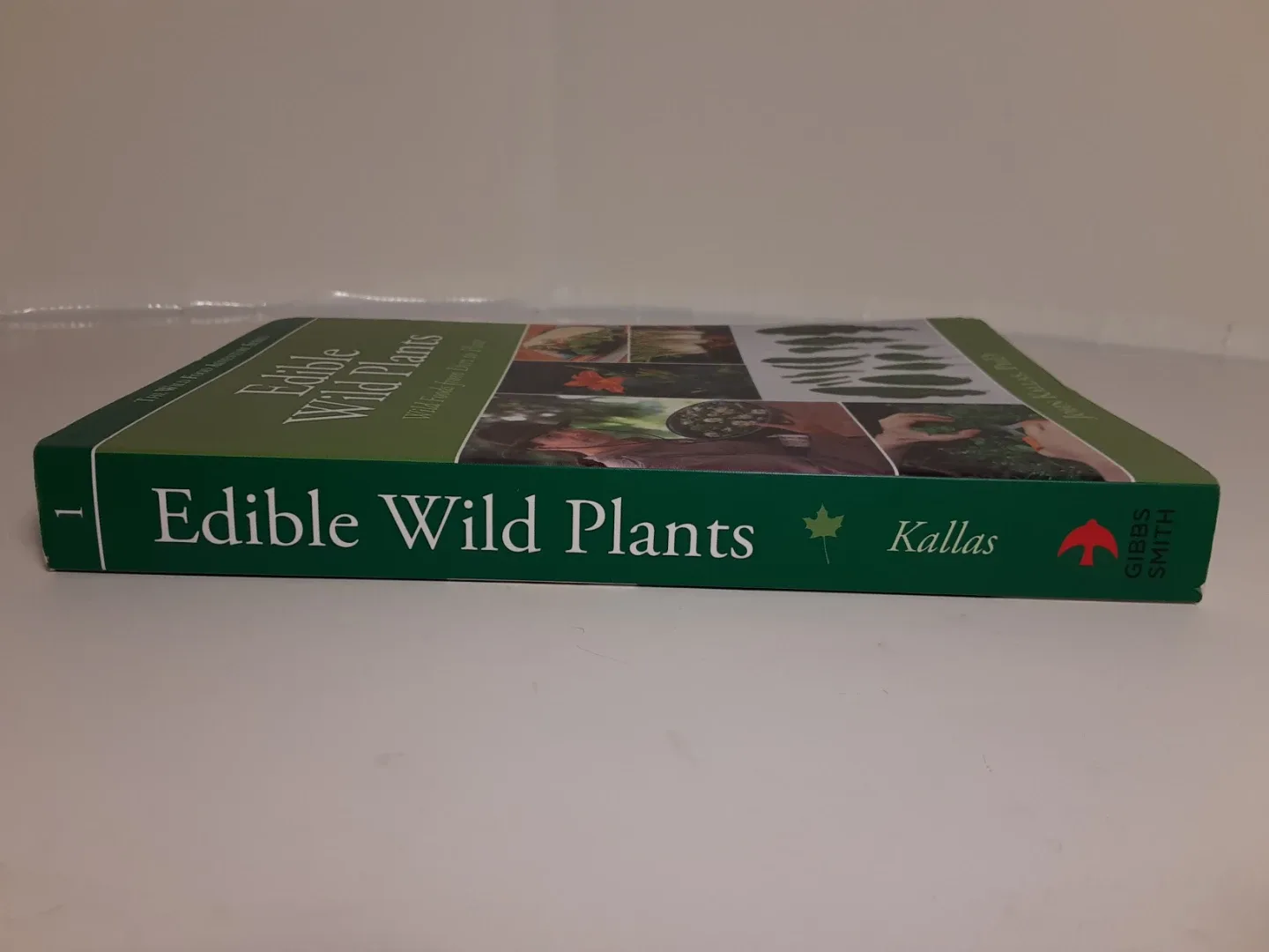 Edible Wild Plants - Wild Food Aventure Series image indicator(5)