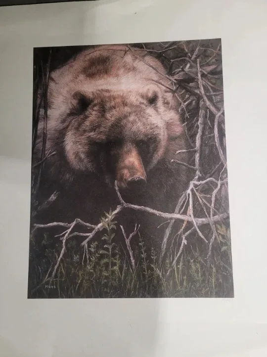 Grizzly Bear Print
