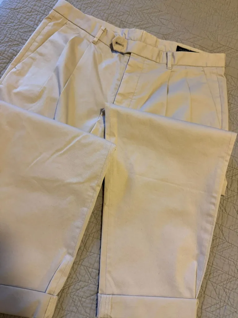 AllSaints Creamy Beige Trousers Size 32 AllSaints image indicator(3)