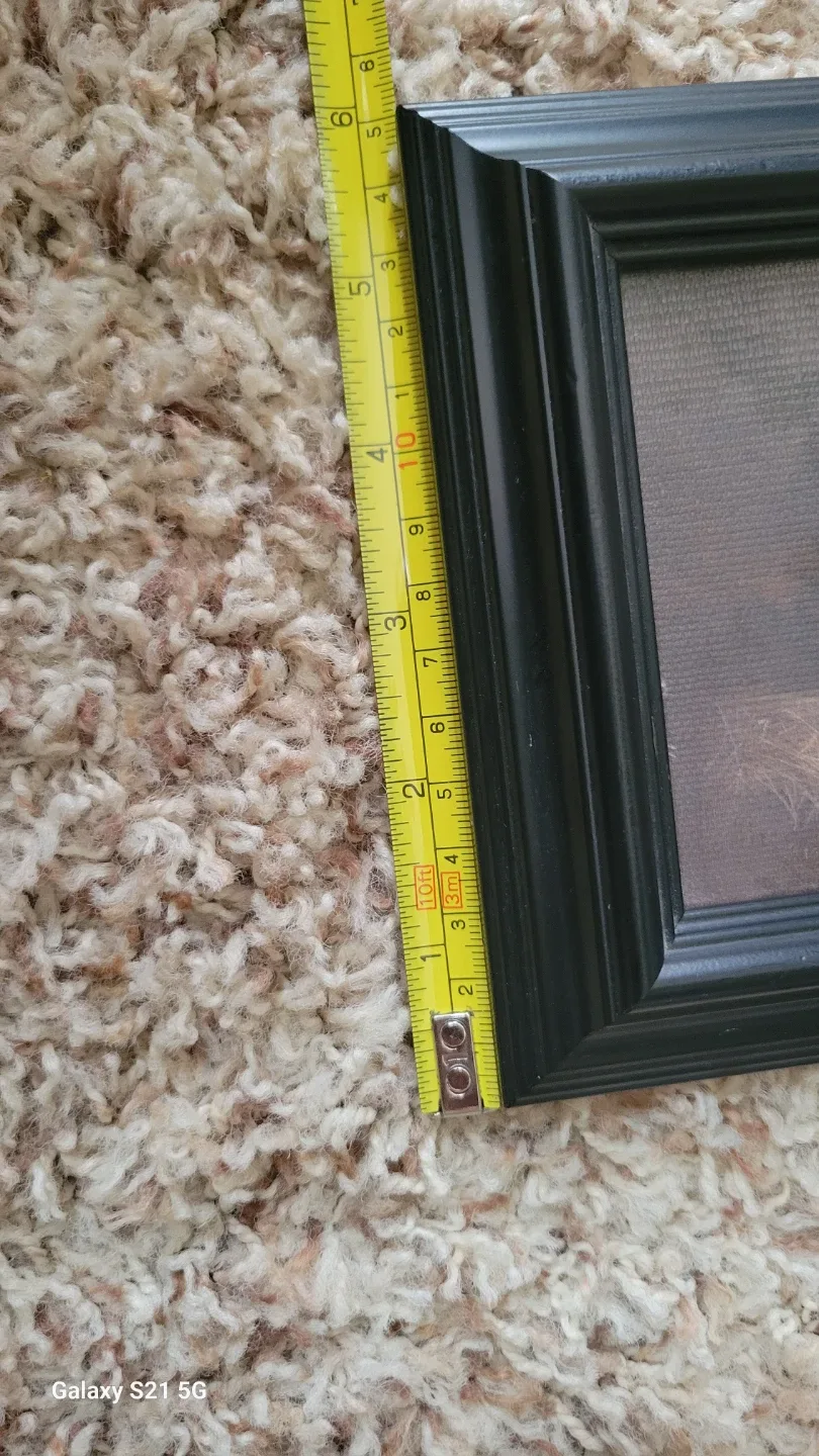 Delta Graphics Animal Prints - Set of 3 image indicator(5)