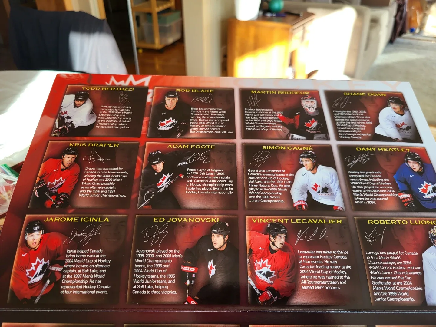 Hockey Canada 2006 Pin Collection image indicator(4)