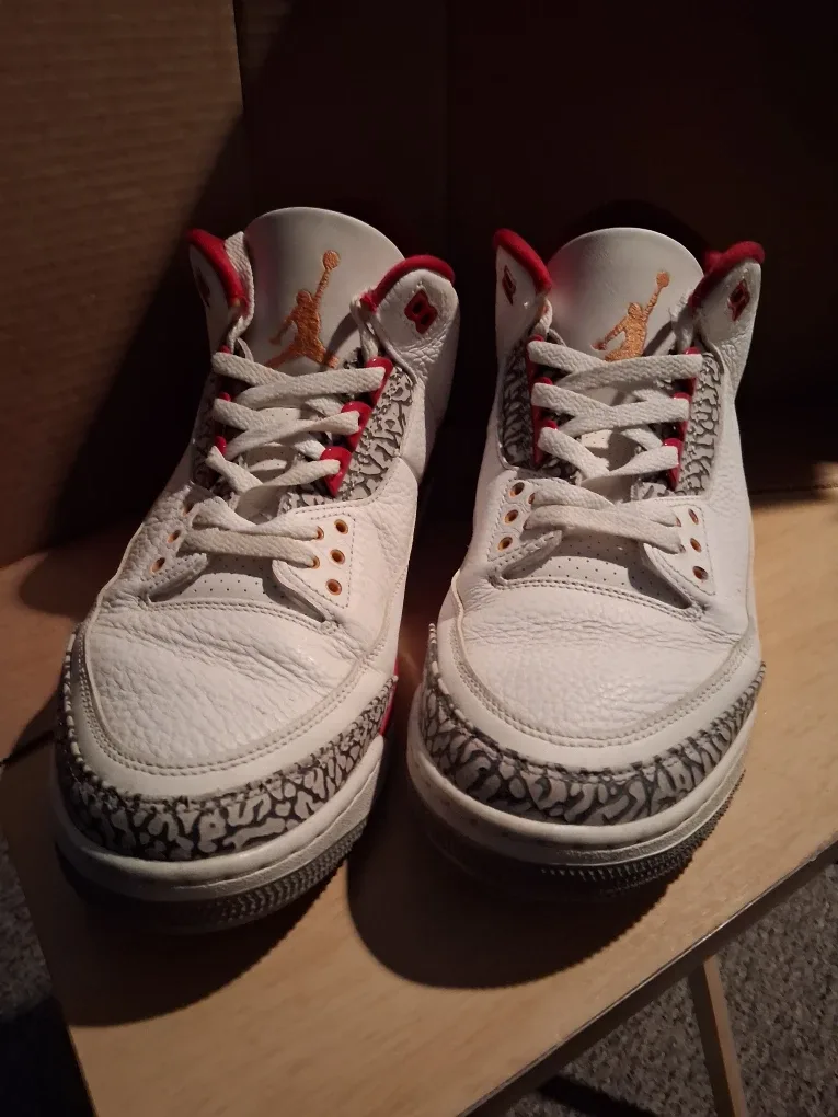 Nike Air Jordan 3 retro