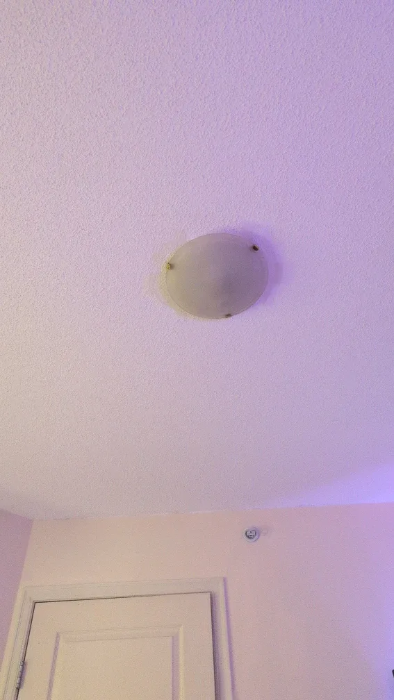 Ceiling Light Fixture
