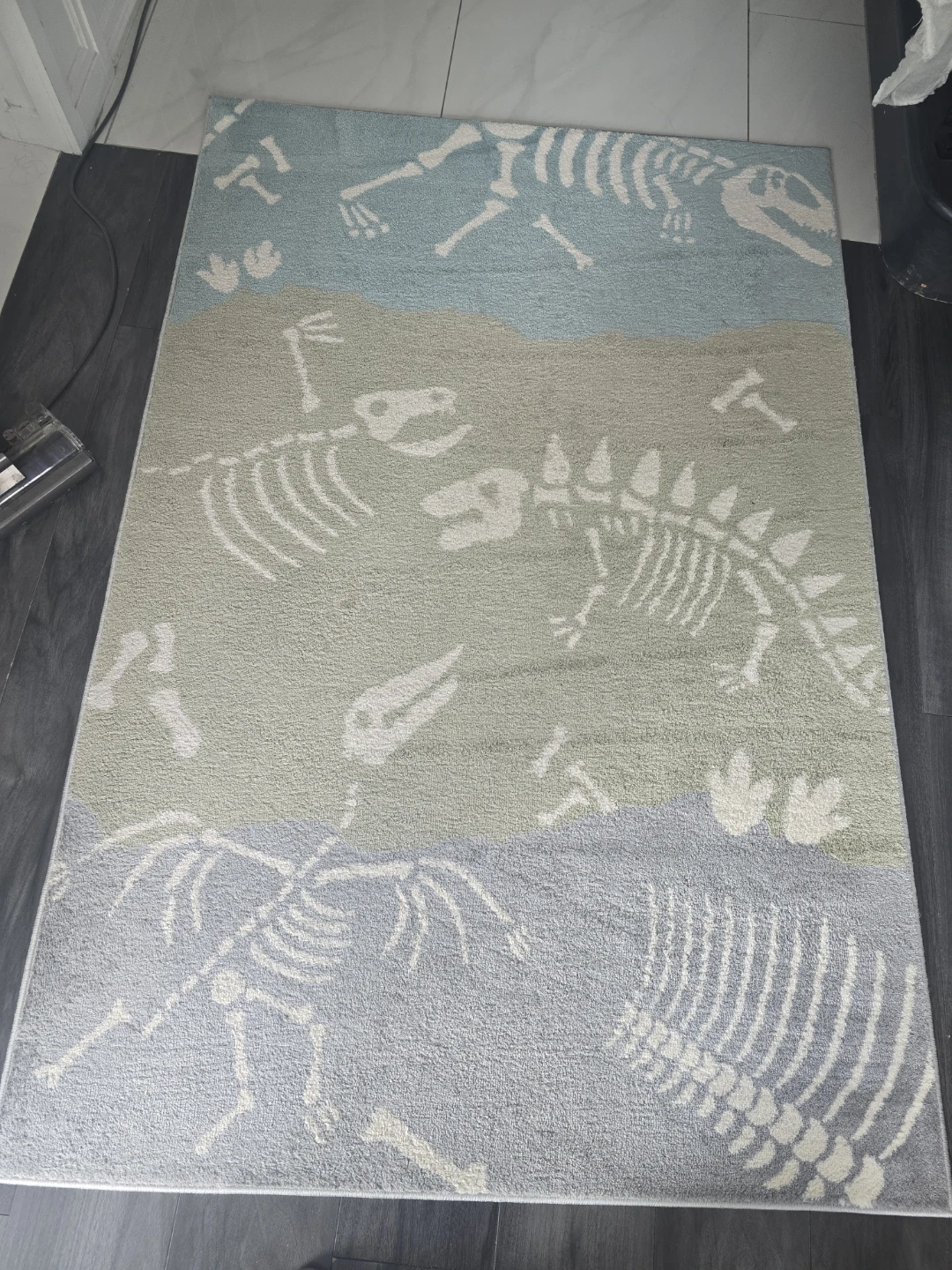 Dinosaur Pattern Kids Rug
