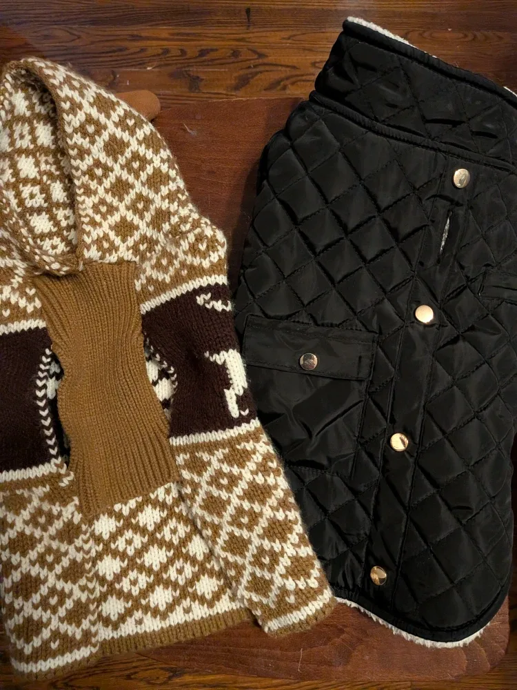 TWO Small dog coats and sweater, SMALL $8 for both