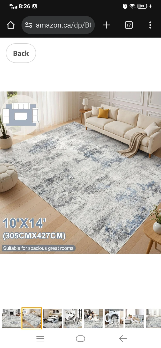 10'x14' Area Rug - Grey & Blue - Brand New - photo 2