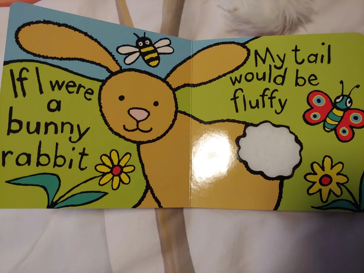 New Jellycat 'If I Were A Bunny' Book image indicator(2)