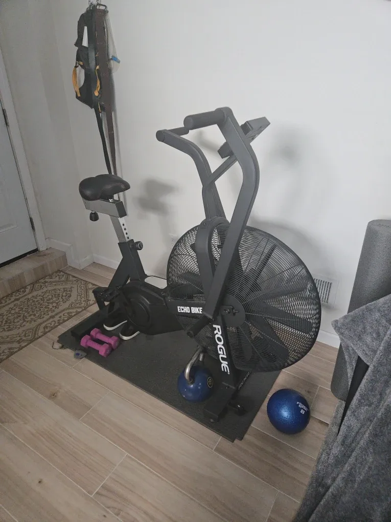 Rogue Echo Bike - Air Bike