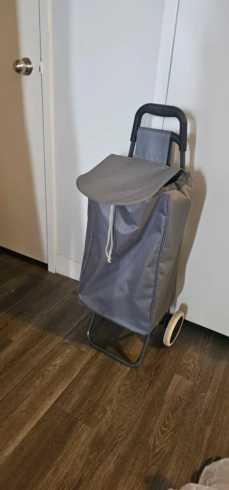 Walmart Shopping Trolley Cart