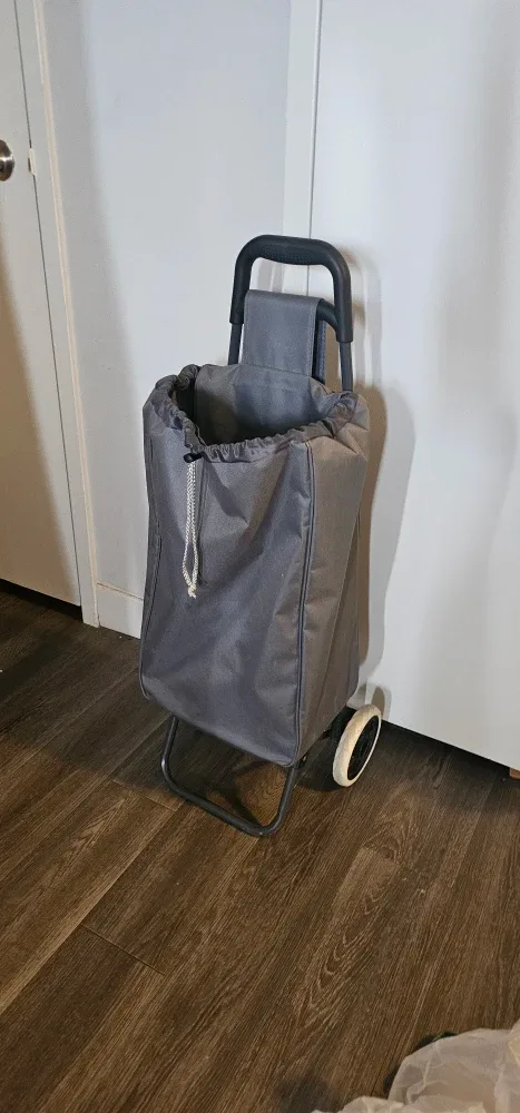 Walmart Shopping Trolley Cart image indicator(2)