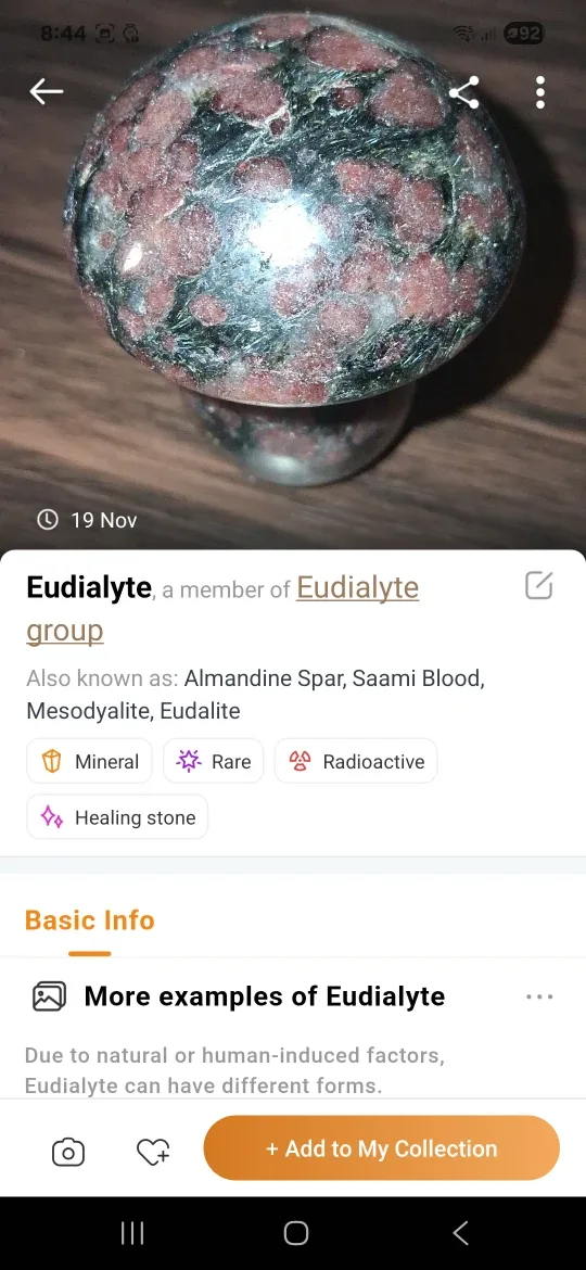 Rhodonite or Eudialyte Mushroom Decor image indicator(4)