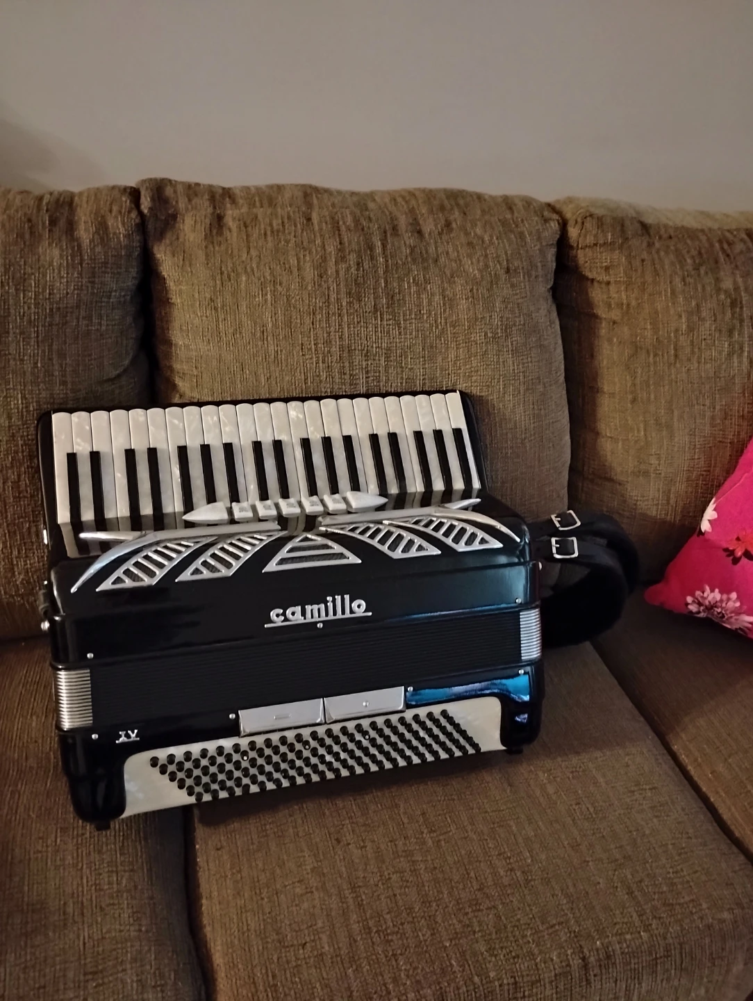 Mid-sized 🪗 Accordion - photo 3