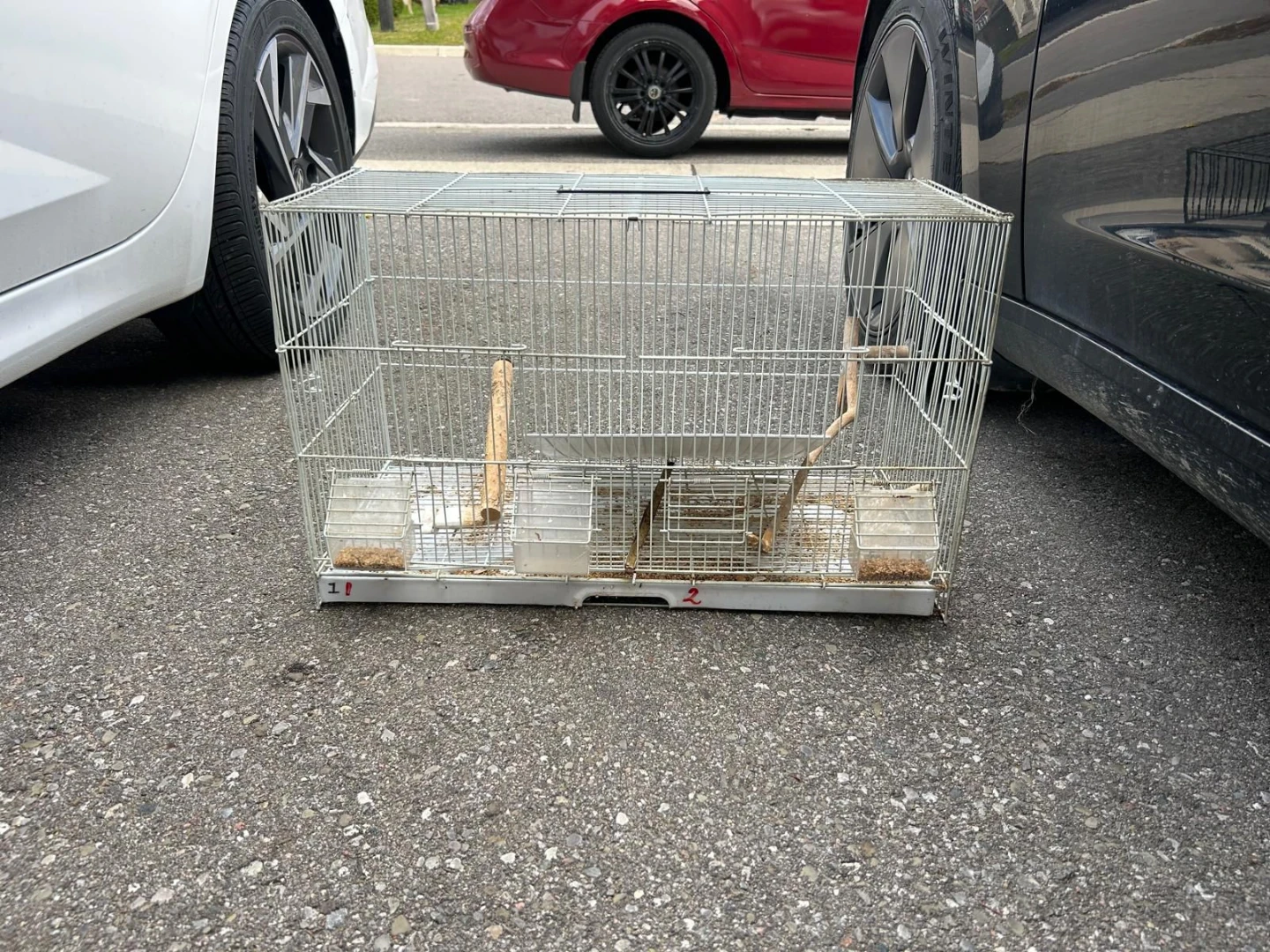 Gently used breeding bird cage - photo 2