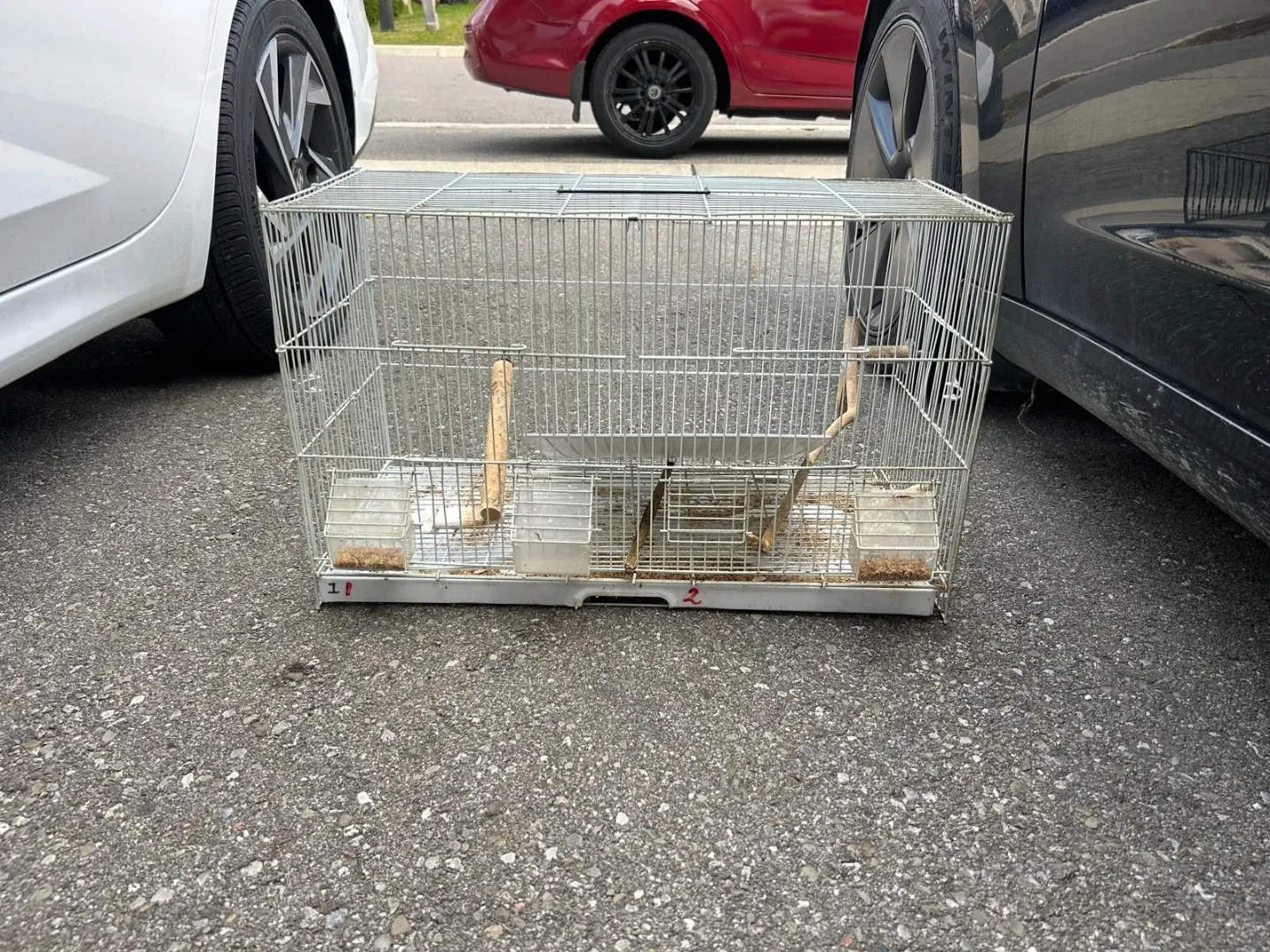 Gently used breeding bird cage image indicator(2)