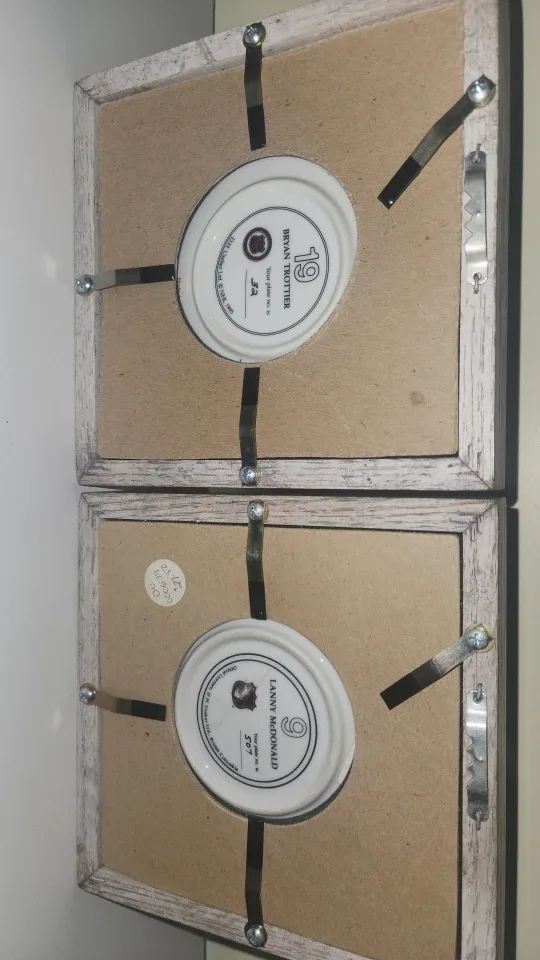 NHL Commemorative plates image indicator(4)