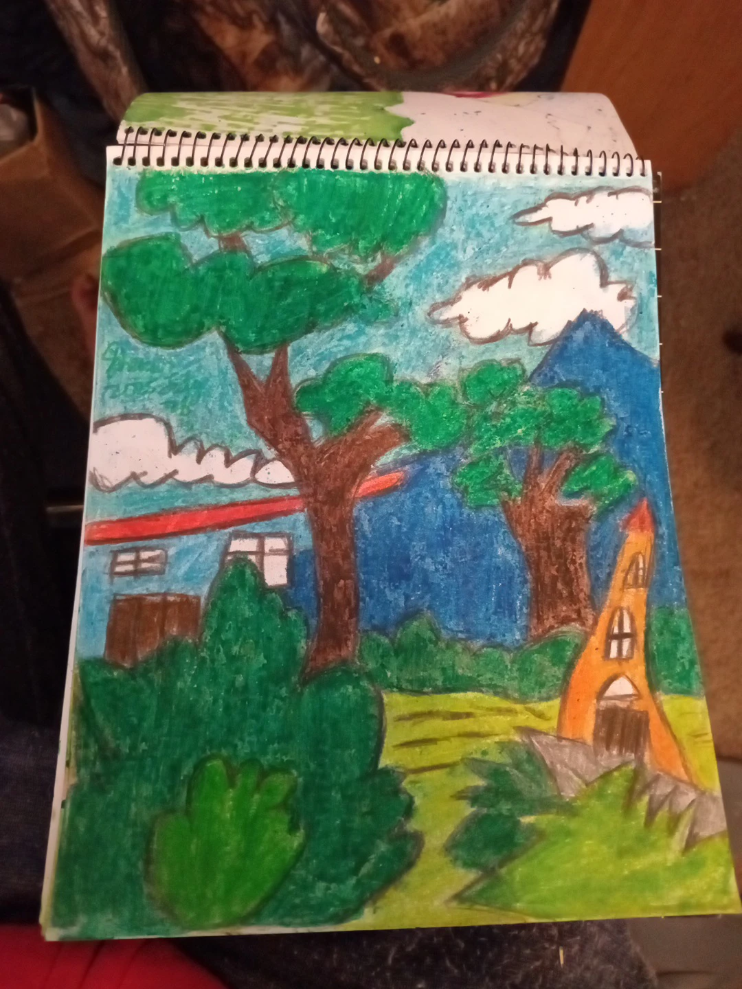 Nature Drawing/Illustrations Custom Artist Sherwin - photo 4