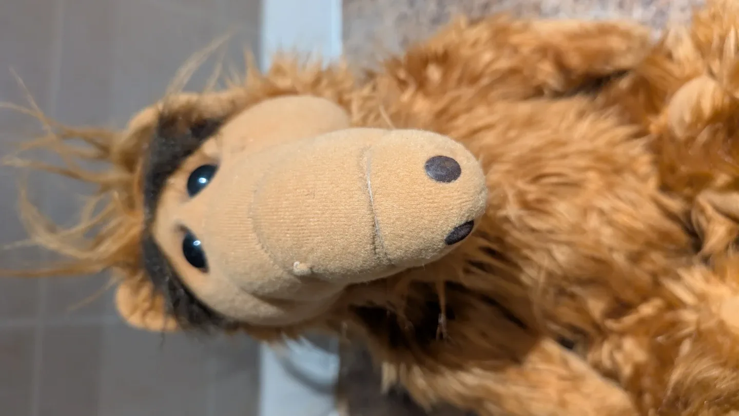 ALF Plush Toy image indicator(4)