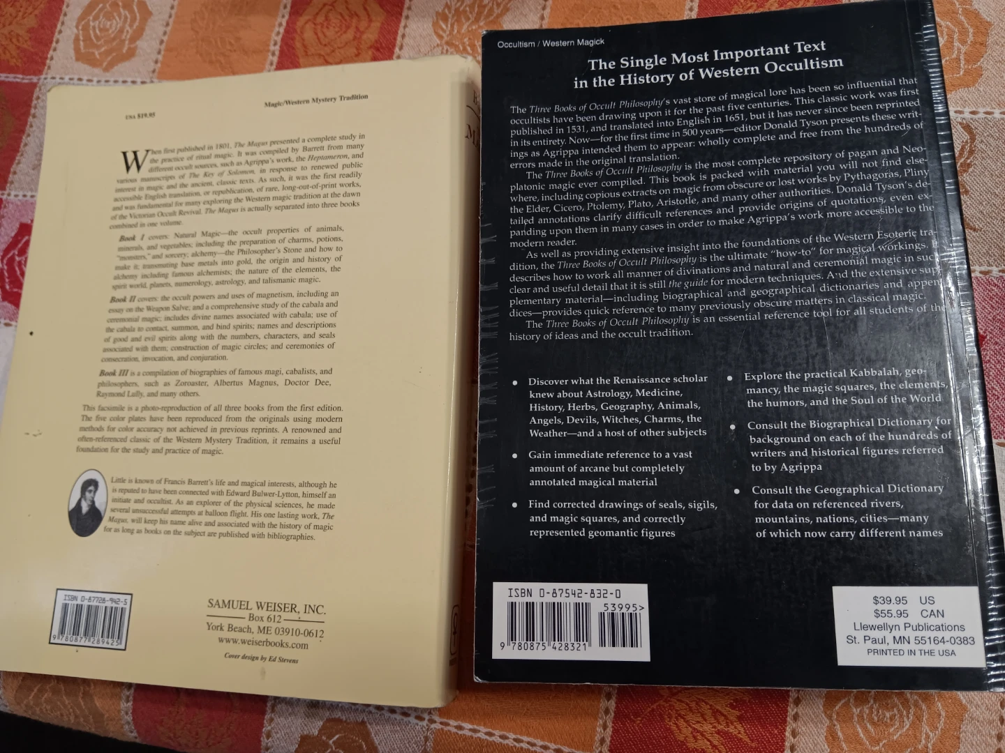 The Magus & Three Books of Occult Philosophy - photo 2