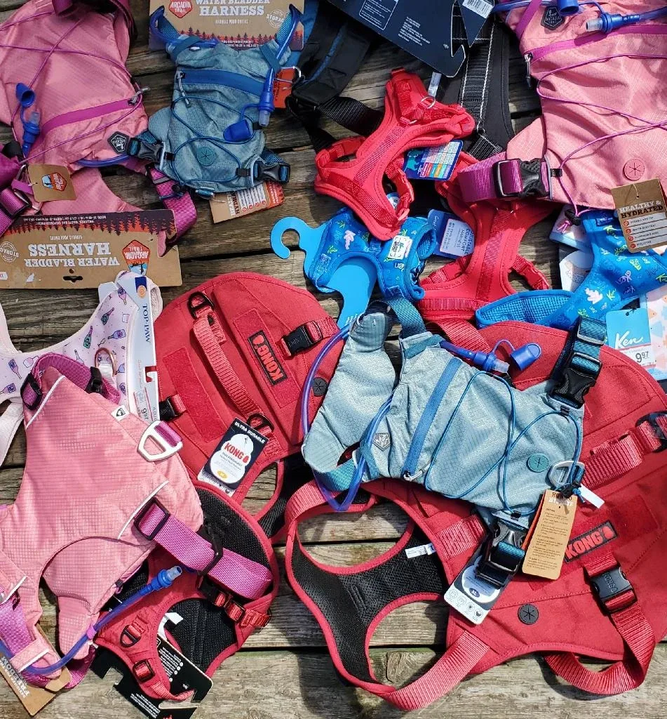 Pet Supplies Lot: Clothes, Harnesses, Toys & More!