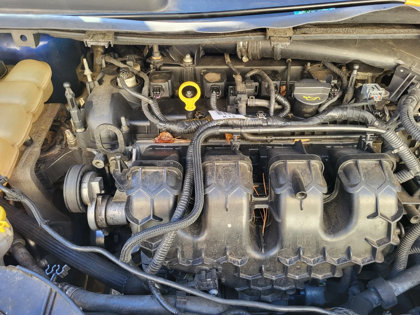 2013 Ford Escape - Blue image indicator(6)