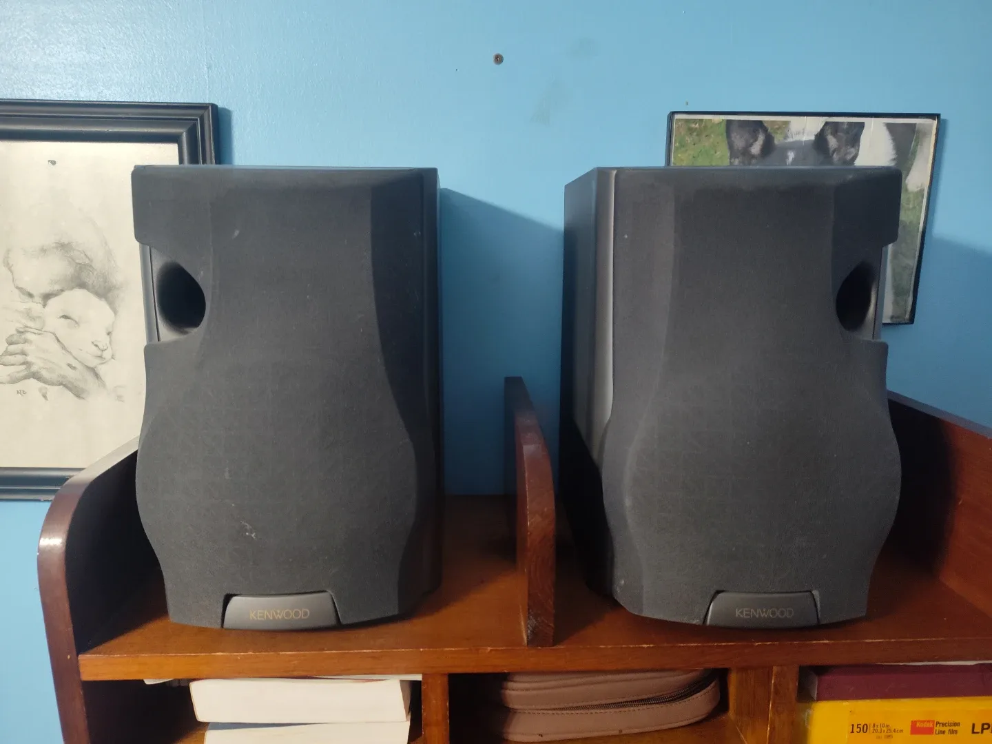 Kenwood LS-N750 Speakers - Pair image indicator(2)