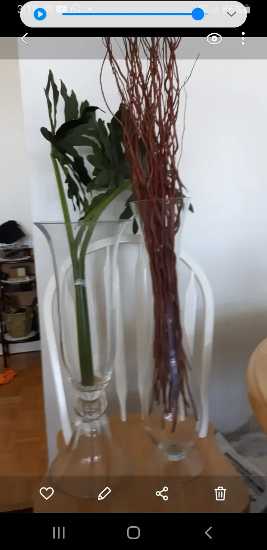 Tall Clear Glass Vases - Set of 2 image indicator(3)