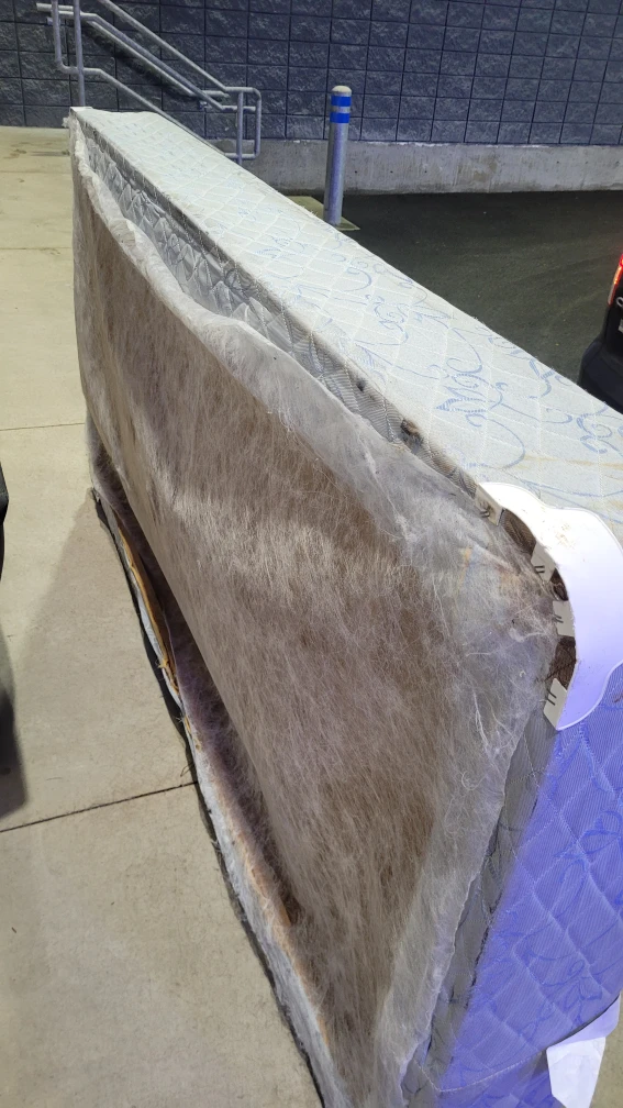 ✈️ single-Box Spring - photo 5