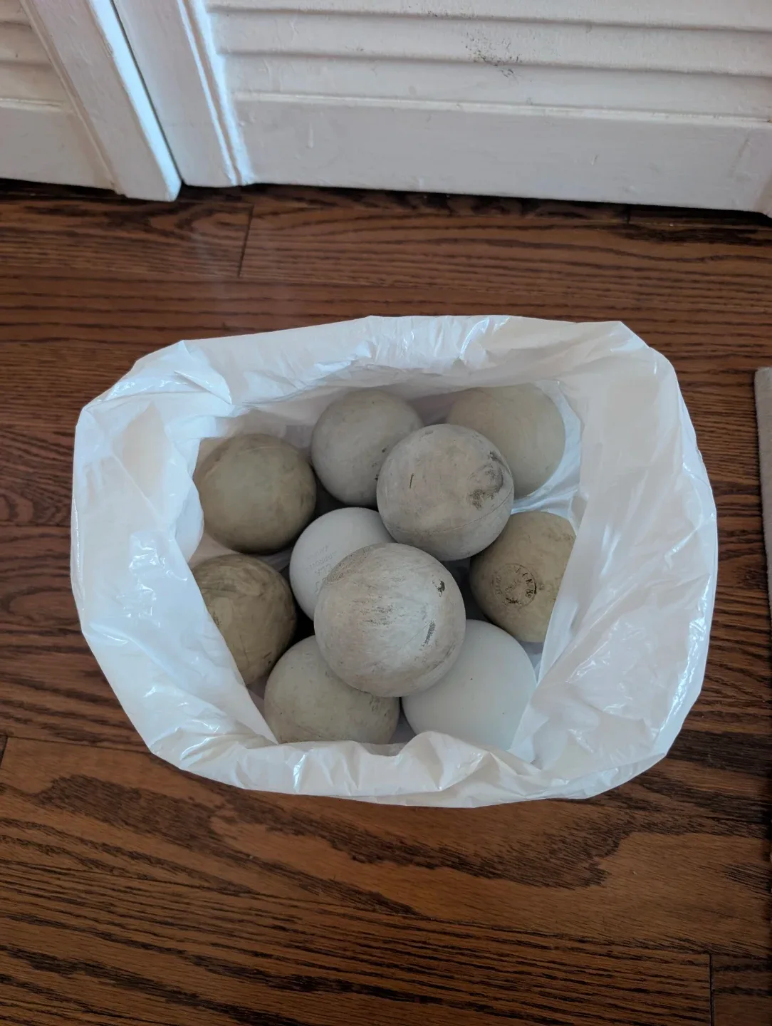 Lacrosse Balls (10, Used) thumbnail