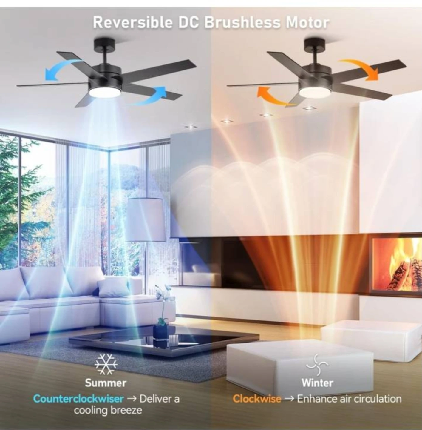 Ceiling Fan - photo 4
