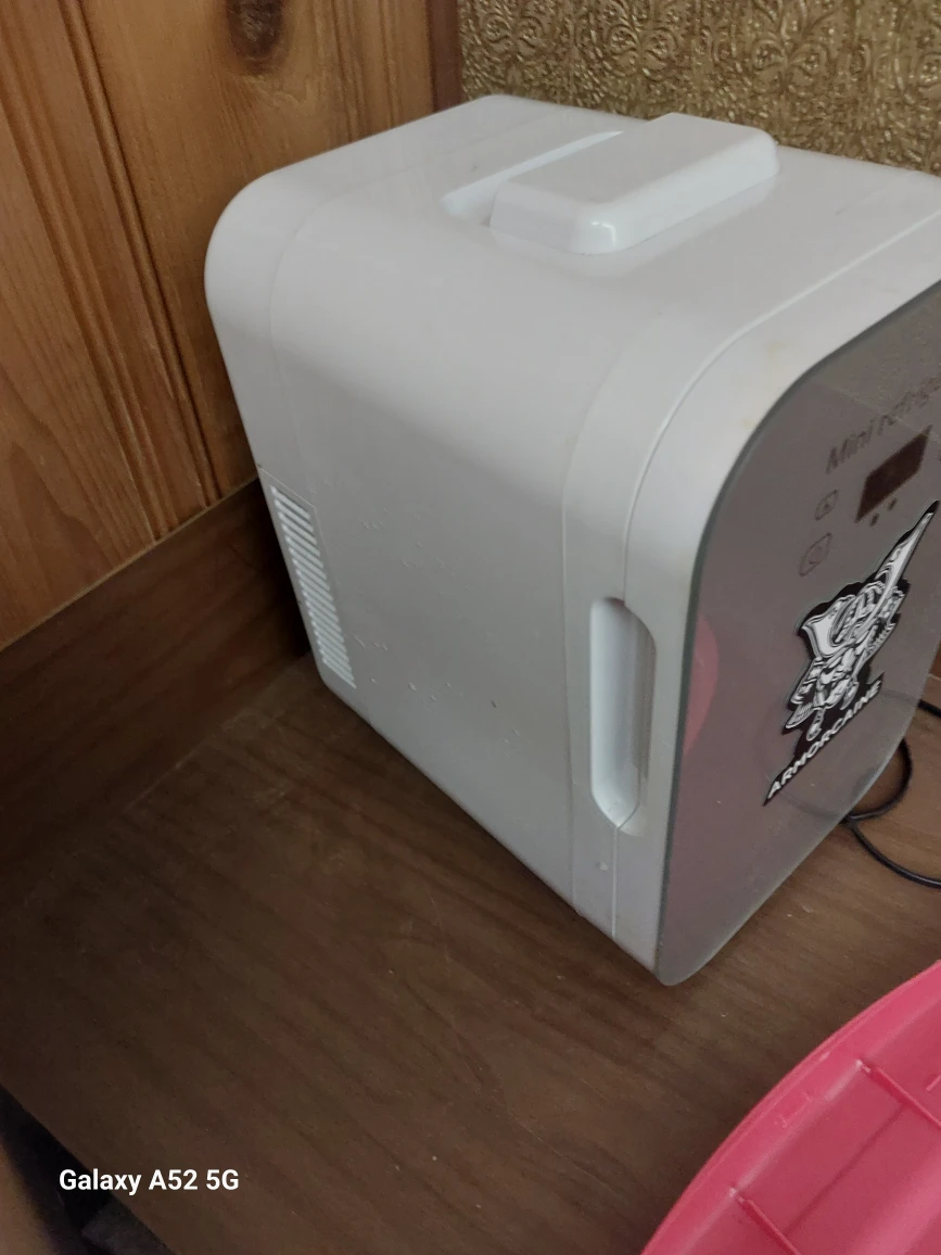 Mini Refrigerator - 8L Capacity - photo 4