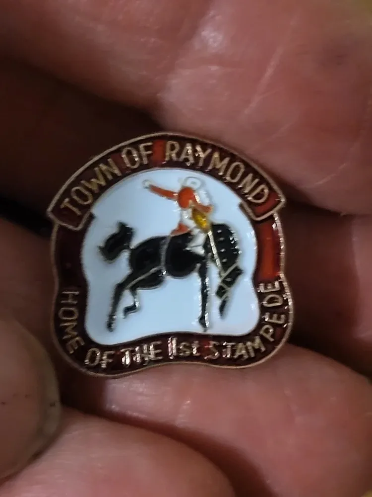 Vintage Manitoba & Town of Raymond Pin Lot of 7 pins. image indicator(4)