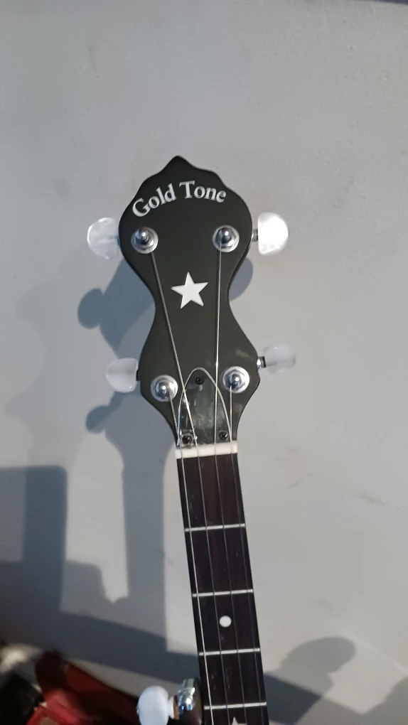 Gold Tone Banjo with Case - photo 2