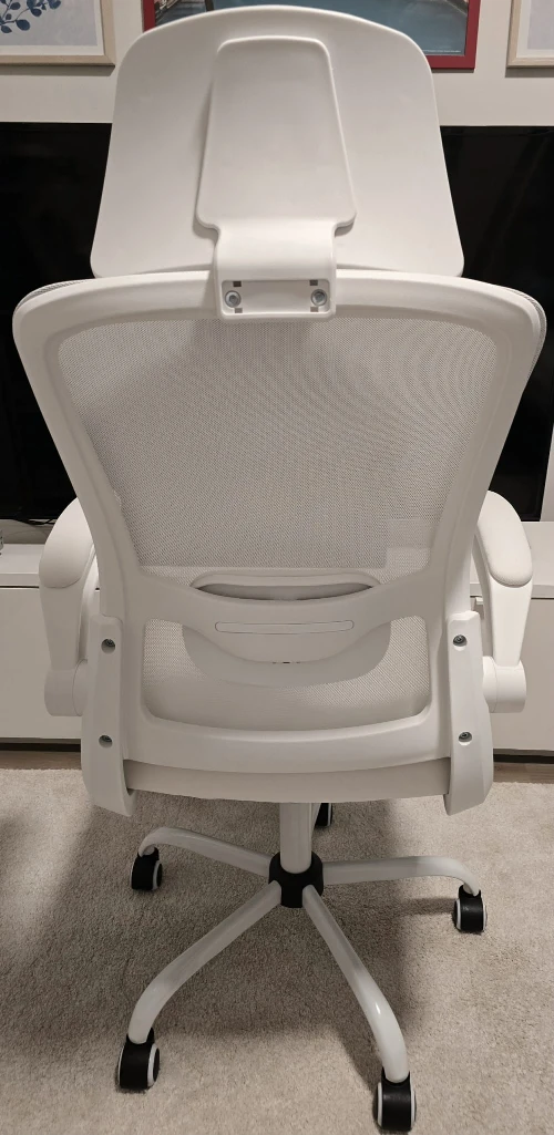 Ergonomic Office Chair - White