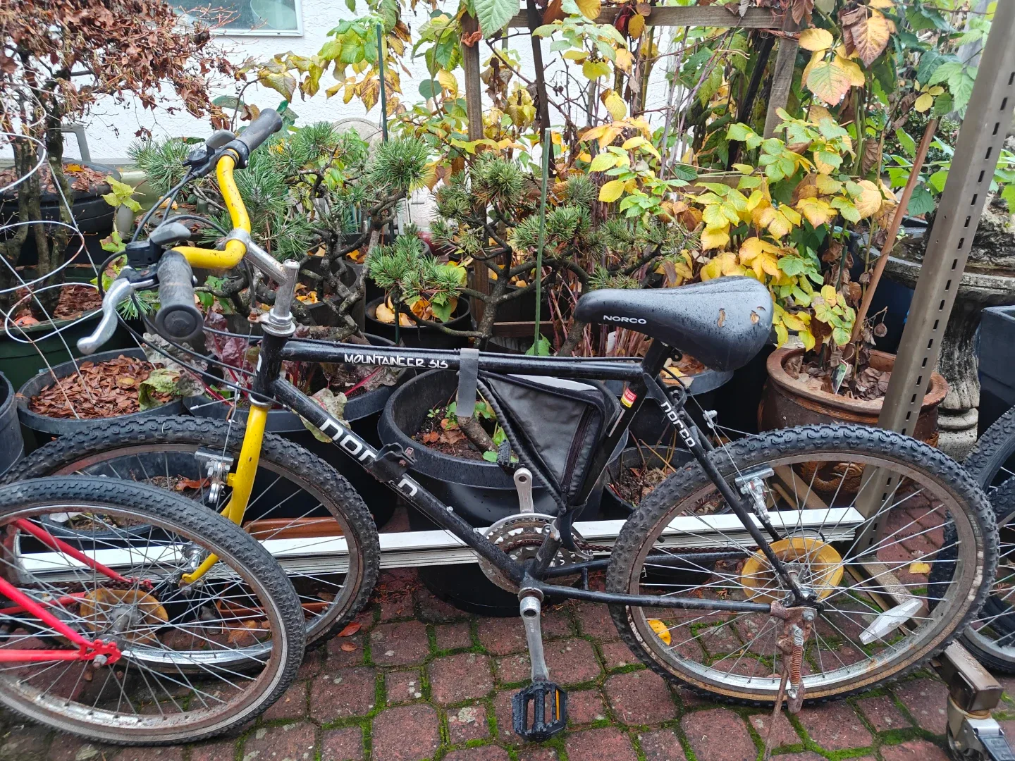 Norco Mountaineer 316 Bicycle thumbnail