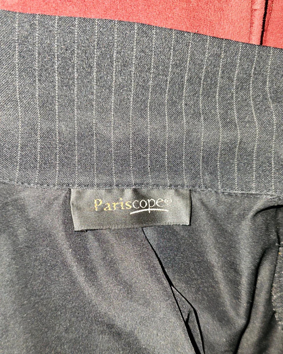 Pariscope Pinstripe Blazer - Small 🥕 image indicator(3)