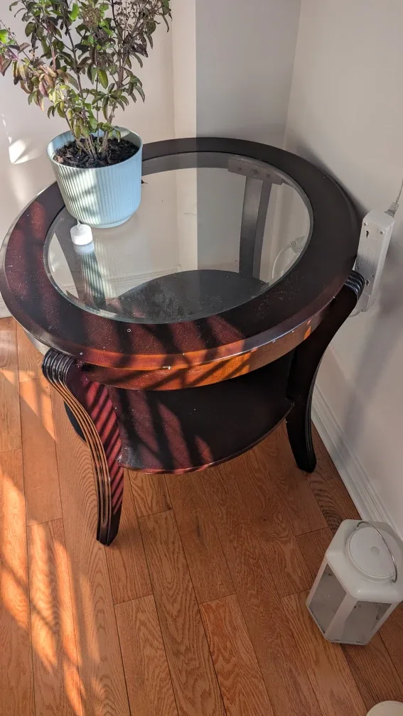 Oval Glass Top Coffee Table with two side tables 🥕 image indicator(3)