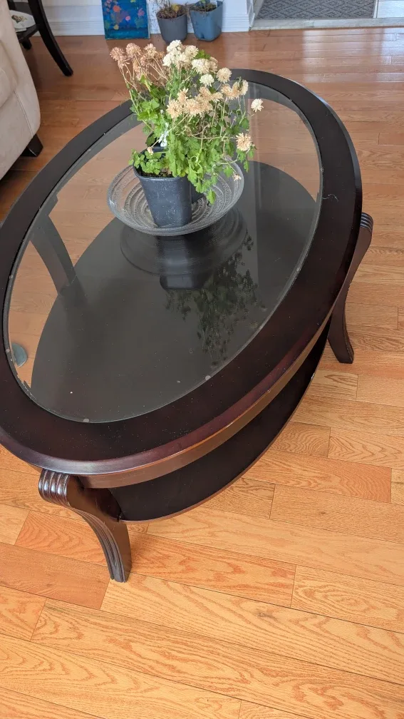 Oval Glass Top Coffee Table with two side tables 🥕 image indicator(4)