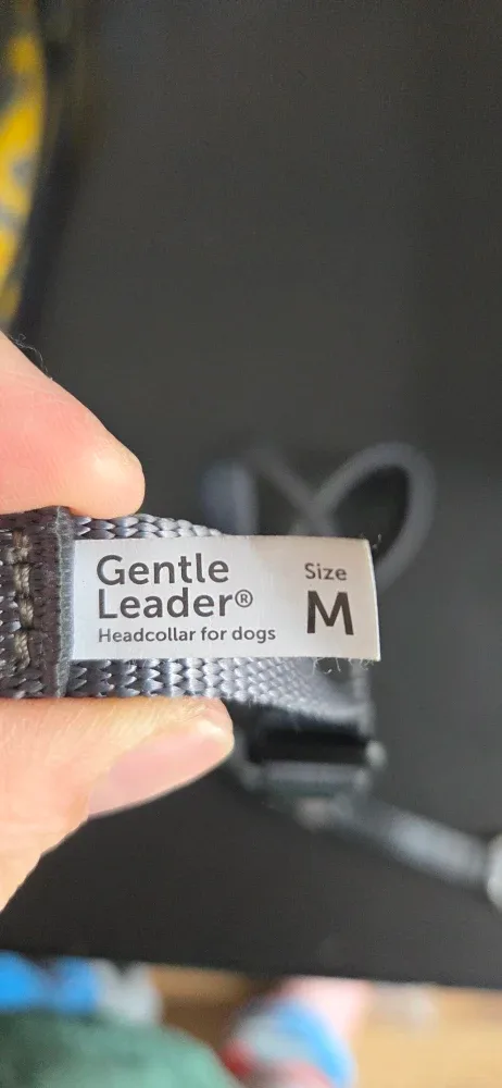 Gentle Leader Headcollar for Dogs - Size M image indicator(3)