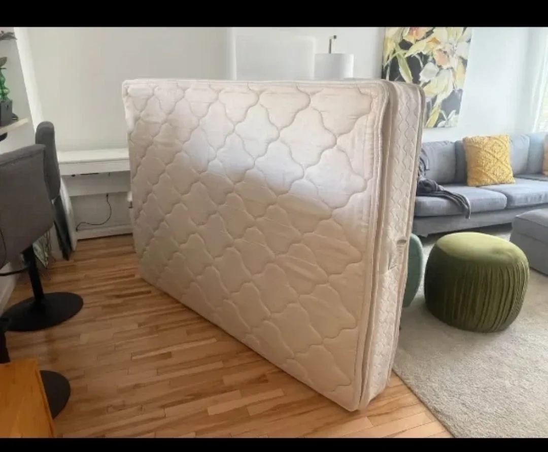 Regal Bedding Chiro Plush Mattress