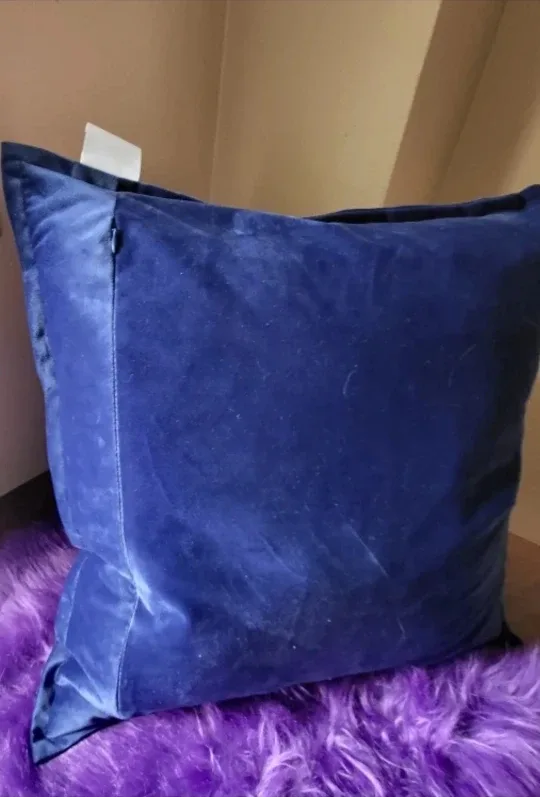 2 City Life Blue Plush Velvet Zippered Pillows-Used for staging image indicator(2)