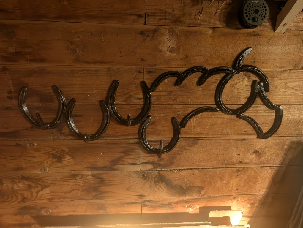 Horseshoe Art Coat Rack