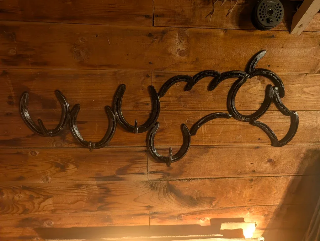 Horseshoe Art Coat Rack