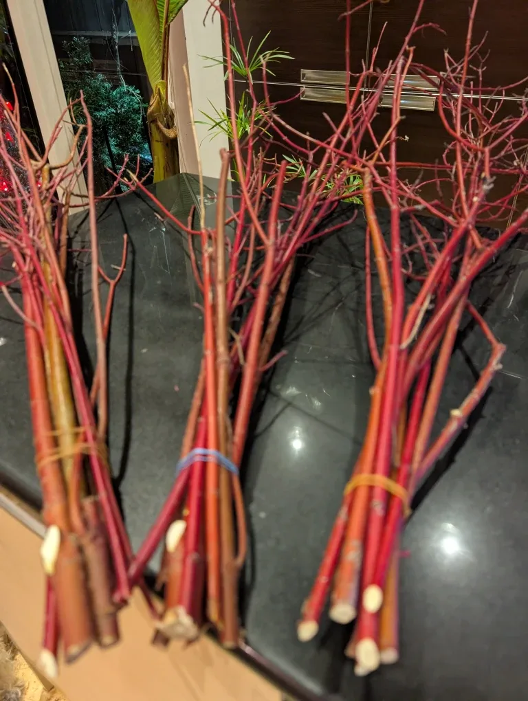 Festive Evergreen and other bows.  Winter Planter image indicator(7)