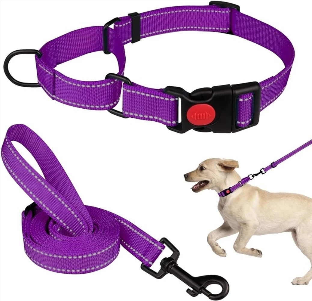 Purple Dog Collar & Leash Set -NEW