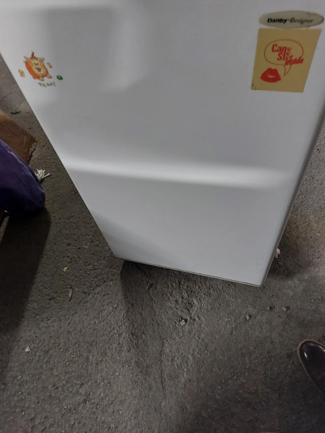 Danby Designer Compact Fridge