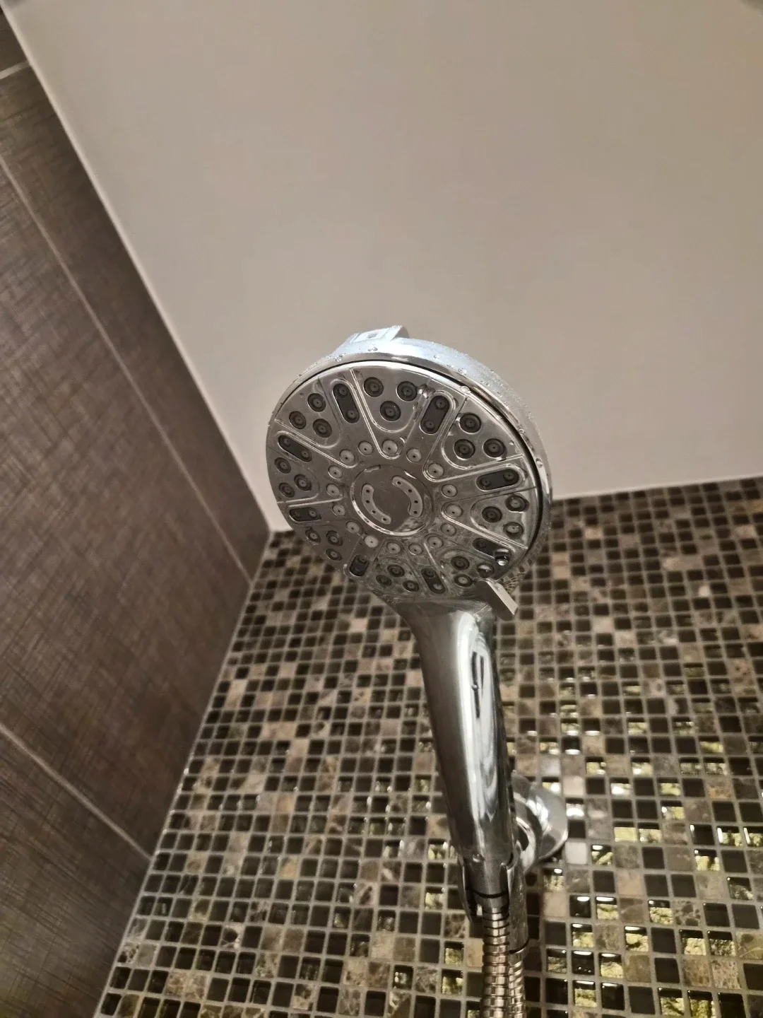 Shower head from costco