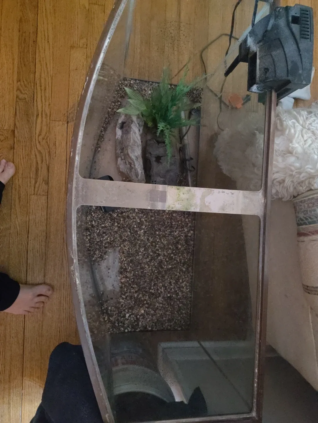 Aquarium with Accessories